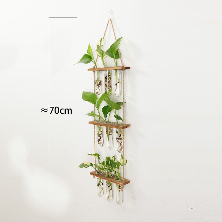 like-activities-แพลตฟอร์มการเพาะพันธุ์3ชั้นพร้อมกรอบชนิดแขวนหลอดทดสอบ-hydroponicbracket-hometerrace-ตกแต่ง