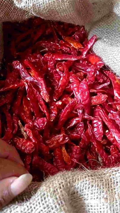 1kg Cabe Rawit Teja Caplak Kering Super Pedas Tanpa Tangkai