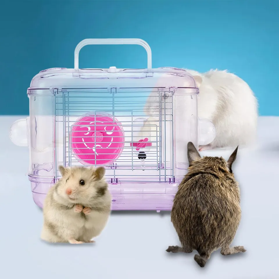 Hamster hotsell carry case