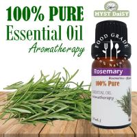 [10 mL.] Food Grade 100% Pure Essential Oil น้ำมันหอมระเหยโรสแมรี (Rosemary) บริสุทธิ์ 100% แบบรับประทานได้ (ไม่ใช่น้ำหอมหรือกลิ่นสังเคราะห์)