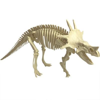 Simulation excavation parent-child toy dinosaur fossils can be spliced simulation dinosaur animal model of educational toys