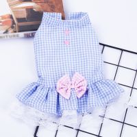 Summer Pet Dress for Dogs Little Small Puppies Cat Dog Lace Skirt Pet Clothing Chihuahua Plaid Skirt Cute Puppy Clothe Dog Dresses