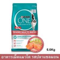 ด่วนโปร ส่งฟรี อาหารแมว Purina One สูตรปลาแซลมอน สำหรับแมว อายุ 1 ปีขึ้นไป 6.6กก. (1ถุง) Purina One Tender Selects Blend Salmon Adult C