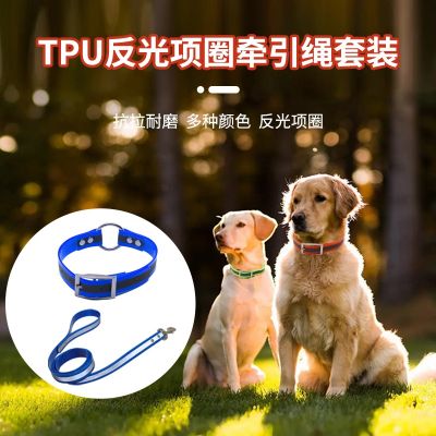 ℡ สายจูงสุนัขข้ามพรมแดน TPU ป้องกันการสูญหายปลอกคอสุนัขเรืองแสงสวมใส่ป้องกันการแตกหักสายจูงสุนัขอุปกรณ์สัตว์เลี้ยงขายส่ง