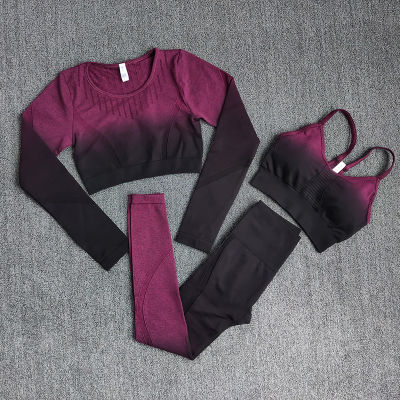 Ombre Women Yoga Set Workout Long Sleeve Crop Top Sports Bra Seamless Leggings Gym Clothing Fitness Sportswear Sports Suits