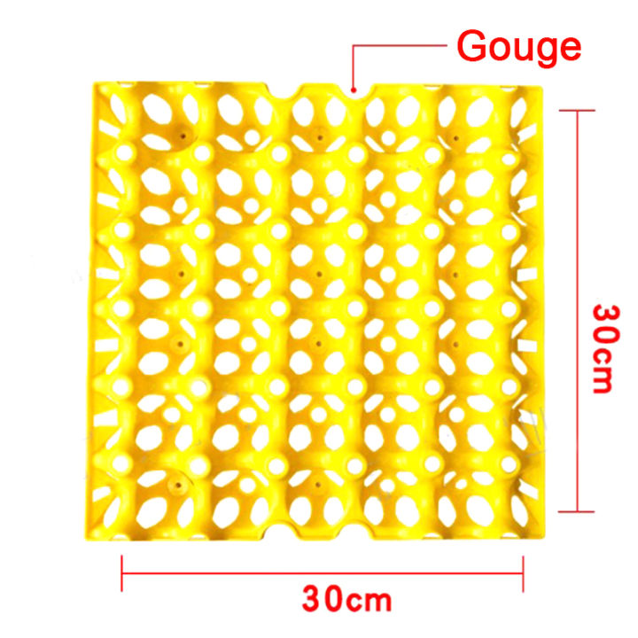 yizhuoliang-ถาดใส่ไข่พลาสติกสามารถใส่กล่องเก็บไข่ได้สามสิบฟองเก็บและทำความสะอาดได้ง่าย