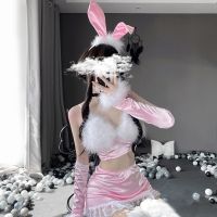 Dropshipping Women Sexy Exotic Cosplay Costume Lingerie Erotic Role Play Sweet Cute Maid Uniform Bunny Girl Suit Fur Bra