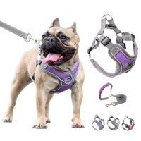 New Pet Dog Harness Leash Set Reflective Adjustable Vest Walking Lead Leash Soft Breathable Vest Harness For Small Medium Dogs Leashes