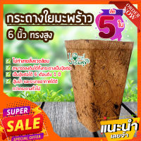 เซ็ต 5 ใบ กระถางใยมะพร้าว 6 นิ้วทรงสูง? กระถางเพาะชํา กระถางต้นไม้ อุ้มน้ำ ระบายอากาศได้ดี รากเดินดี  ย่อยสลายได้เอง ลดโลกร้อน??