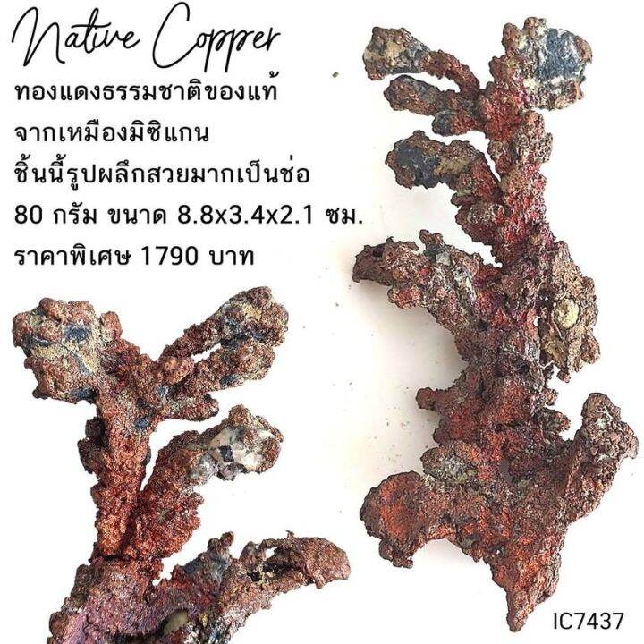 native-copper-ทองแดงธรรมชาติของแท้-จากเหมืองมิซิแกน-รูปร่างสวยเป็นช่อ