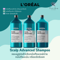 Loreal Scalp Advanced Anti Discomfort/Anti Oiliness/Anti Dandruff Shampoo 1500ml แชมพูสำหรับหนังศีรษะแพ้ง่าย หนังศีรษะมัน ขจัดรังแค (หัวปั๊มจำหน่ายแยก)