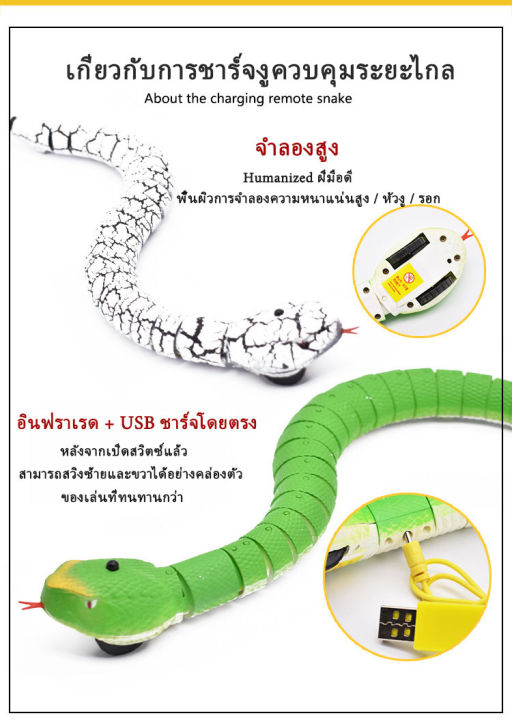 งูบังคับรีโมทวิทยุ-ราคาถูกมากๆ-ส่งจากไทย