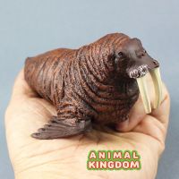 Animal Kingdom - โมเดล Walrus แมวน้ำ สิงโตทะเล ขนาด 12.50 CM (จากสงขลา)