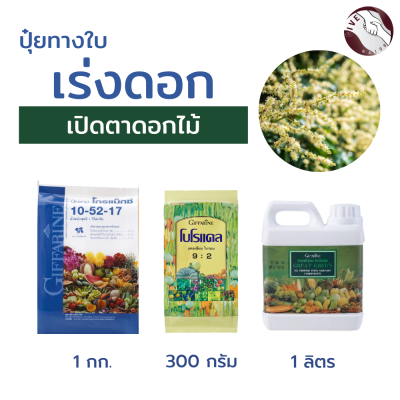 #เซตปุ๋ยเร่งดอก #ปุ๋ยน้ำทางใบ #ดอกงาม #ช่วยเปิดตาดอก #ดอกไม่ร่วง ช่วยทำให้ดอกเป็นผล #ปุ๋ยกิฟฟารีนแท้ #แคลเซียมพืช# สารจับใบ