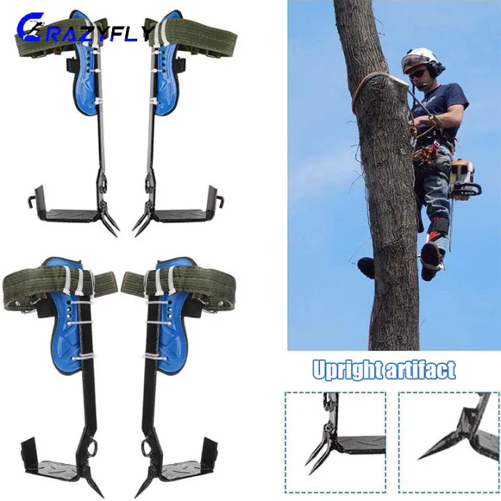 pole climbing belt