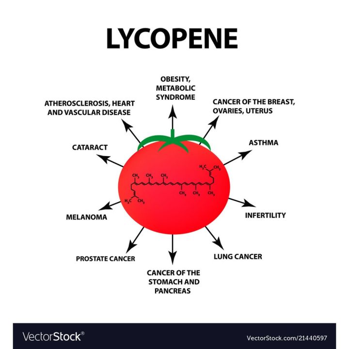 ไลโคปีน-สารสกัดจากมะเขือเทศเข้มข้น-lycopene-20mg-60-rapid-release-softgels-puritans-pride