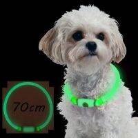 ❀♣✟ New LED Dog Collar TPU USB Rechargeable Lighting Collar Glowing Luminous Night Safety Flashing Glow Collar Leads для собак