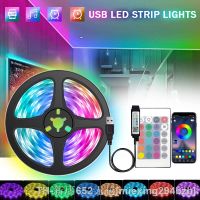 【LZ】☬❇☊  Rgb Led Strip 5V Usb Led White Lights For Room 5050 5M Led Band Ribbon Ice String Led Backlight For Kitchen 15M 20M Diode Tape