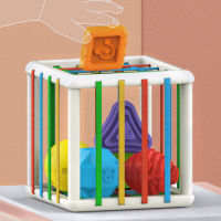 Baby Shape Blocks Sorting Toys Motor Skills Training Sensory Cube Sorter Toy Montessori Learning Educational Toys For Children