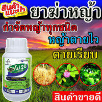 ?สินค้าขายดี? **เห็นผลจริง** ฆ่าหญ้าตายไว อัลโน่ ขนาด 100 กรัม ฆ่าหญ้าแรงๆ ฆ่าหญ้าใบแคบ หญ้าในนาข้าว #ในนาข้าว #ฉีดในนาข้าว