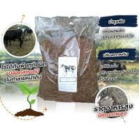 ปุ๋ยคอก ปุ๋ยขี้วัว 1 กก. (วัวนมแท้ 100%) | Manure, cow manure, 1 kg. (100% cows milk)