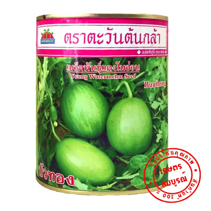 แตงโมอ่อน-บัวทอง-เมล็ดพันธุ์-250-ก-ตราตะวันต้นกล้า