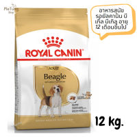 ? หมดกังวน จัดส่งฟรี ? Royal Canin Beagle Adult อาหารสุนัข รอยัลคานิน บีเกิ้ล บีเกิล อายุ 12 เดือนขึ้นไป ขนาด 12 kg.   ✨