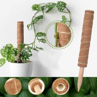 [COD] basket climbing column coconut palm monstera support plant rattan flower frame shreds winding pole fixing