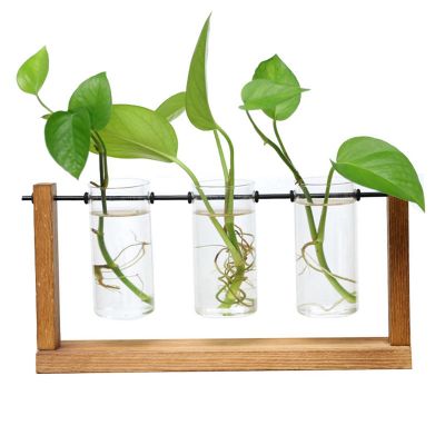 Terrarium Hydroponic Plant Transparent Vase Wooden Frame Vase Decorations Glass Tabletop Plant Bonsai Decor Flower Vase