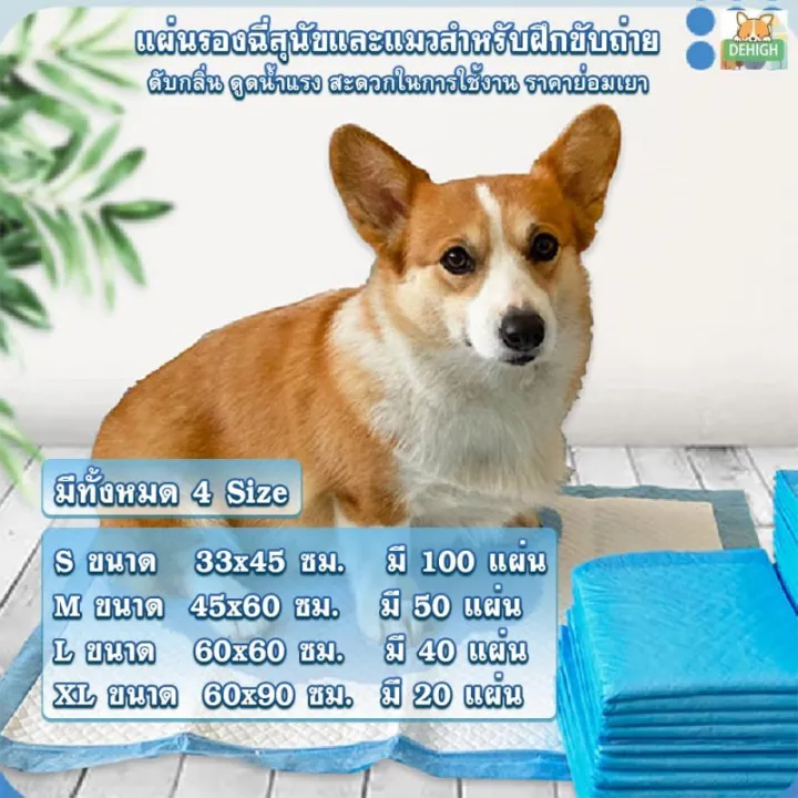 รุ่นเดียวกันที่-pet-shop-กําจัดปัญหาปัสสาวะสัตว์เลี้ยง-nd-แผ่นรองฉี่-หนาและดูดซับได้มากขึ้น-ระงับกลิ่นได้-ที่รองฉี่สุนัข-แผ่นรองฉี่แมว-แผ่นรองฉี่สุนัข-แผ่นรองฉี่กระต่าย-ผ้ารองฉี่สุนัข-แผ่นรองฉี่-หมา-แ