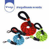 SARIYA สายจูงเรืองแสง ตะขอเงิน (CL02) สายจูงสัตว์เลี้ยง สายจูงหมา สายจูงสุนัข Pet Durable Reflective Leash