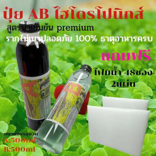 ปุ๋ยไฮโดรโปนิกส์-ปุ๋ยab-ขนาด500ml-ปุ๋ยน้ำ-ปุ๋ยเอบี-ปุ๋ยผักสลัด-ปุ๋ยผักhydroponics-สูตรปรับปรุงใหม่-ขนาดบรรจุ500ml-แถมฟรี-โฟมน้ำ-48-ช่อง-2-แผ่น-ร้าน-ab-ไฮโดรโปนิกส์1