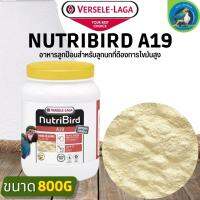 NutriBird A19 อาหารลูกป้อนเพื่อป้อนลูกนก สูตรไขมันสูง (กระปุก800g)