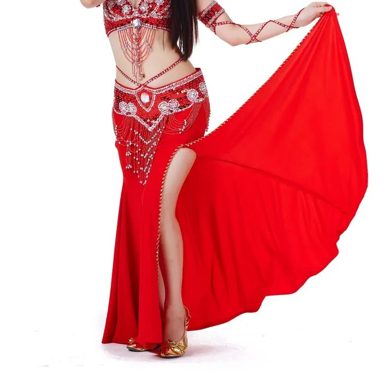 Women Belly Dance Costume Professional Performances Split Skirt