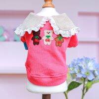 Autumn Skirt Pink Coat Cute Embroidery  Puppy Clothes Dog Dress for Small Dogs Chihuahua Yorkshire Bulldog Poodle Lace Neckline Dresses