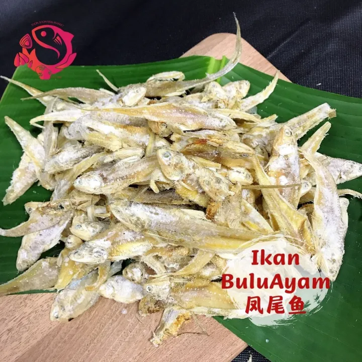 Im005 - Ikan Masin Bulu Ayam 