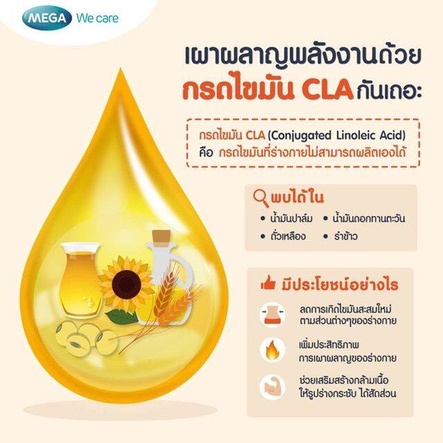 น้ำมันดอกคำฝอย-ซีแอลเอ-900-ดอกคำฝอย-กรดไขมันจำเป็น-cla-900