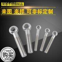 Lifting eyebolt eyelet bolt stainless steel rings fish eye bolts