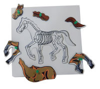 Montessori - แผ่นต่อภาพรูปโครงกระดูกม้า (Horse Skeleton Puzzle)