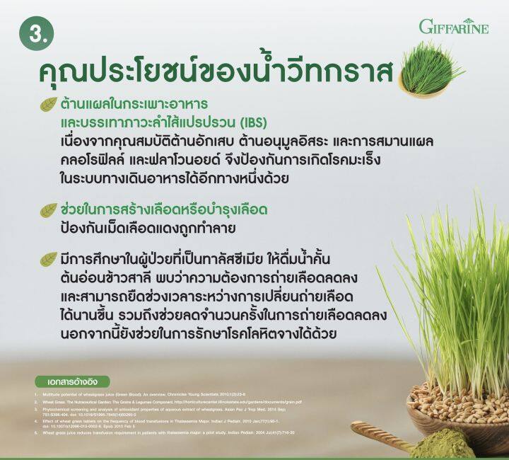 wheatgrass-วีทกราส-เครื่องดื่มใบอ่อนข้าวสาลี-บำรุงเลือด-ลำไส้สะอาด-เสริมภูมิคุ้มกัน-เลือดจาง-บำรุงเลือด-ดีท้อกซ์ลำไส้-โลหิตจาง-แท้100