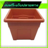 ?ส่งฟรี [ส่งเร็ว] Free Delivery EEJIA Plastic Square Flower Pot (25.5cm)