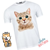 เสื้อยืดลายแมวส้ม Cat T-shirt