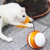 【WNING small pet】ของเล่นแมวอัตโนมัติ,สายประดับบ้านรูปแมววิ่งอิเล็กทรอนิกส์อัจฉริยะแบบโต้ตอบของเล่นบ้องแบ๊วสำหรับสัตว์เลี้ยงของเล่นแกล้งสำหรับแมวติดขนนก