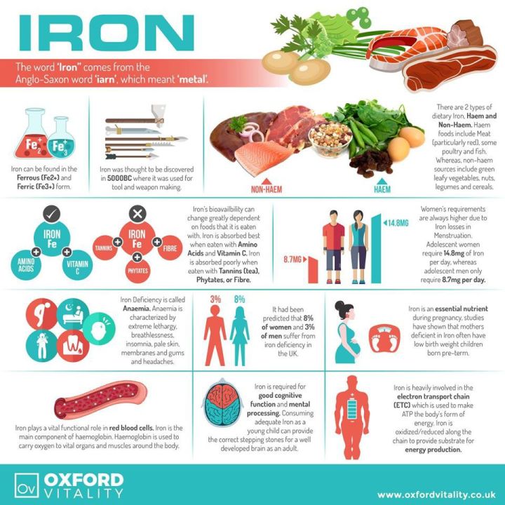 ธาตุเหล็ก-iron-double-strength-36-mg-90-veg-capsules-now-foods