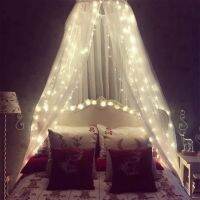 【LZ】►卍♟  Mosquito Net for BedDream Bedspread with 100 Led LightsLarge Hanging Canopy Bed Curtain Dome Netting for home room decor