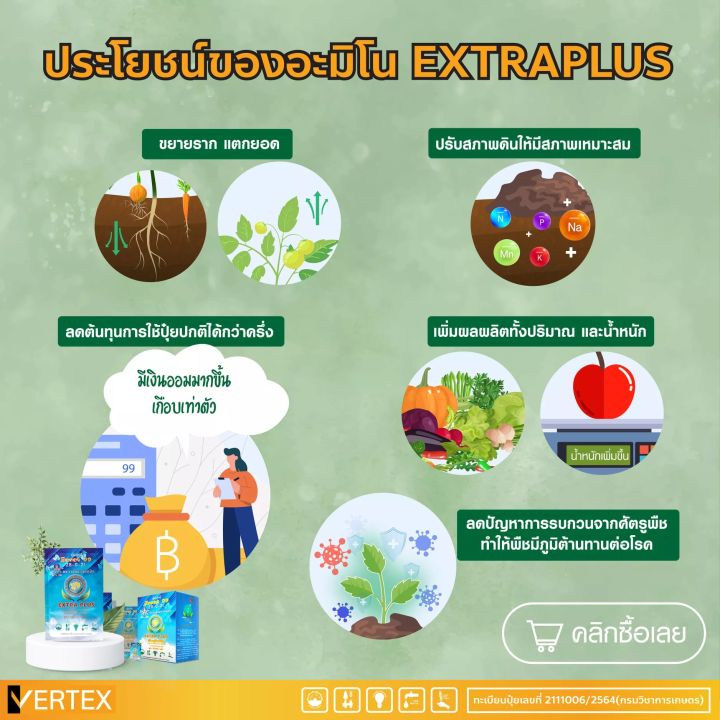 extra-plus-เเอ็กตร้าพลัส-ฮอร์โมนพืช-อาหารเสริมพืช-เร่งผลผลิต-เร่งใบ-เร่งดอก-โตไว-แข็งแรง-ปลอดภัยไร้สารพิษ-6-ซอง-เล็ก