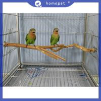 ? Homepet ไม้สำหรับนกแก้วนกคอกคาทีล