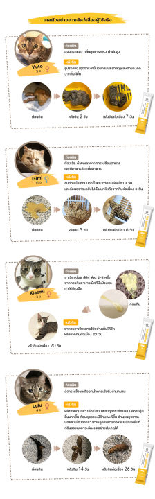 sun-wonder-gut-booster-6-ซอง-เสริมสมดุลระบบย่อยอาหารแมว-ปรับสมดุลลำใส้-เสริมสร้างภูมิคุ้มกันที่ดี-อาหารเสริมแมว