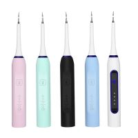 HOKDS Portable Sonic Dental Scaler 2 In 1 Electric Toothbrush USB Tooth Calculus Remover Whiten Tooth Stains Tartar Cleaner 4 Modes