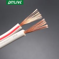 DIYLIVE Line kabel corong datar X-2 kawat klakson suara profesional kabel konektor Surround kabel Speaker demam HIFI